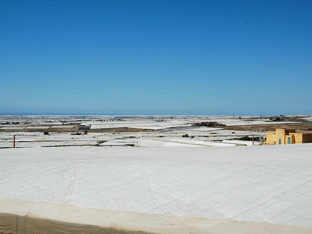 Developing the Almeria Model - Plastic from horizon to horizon